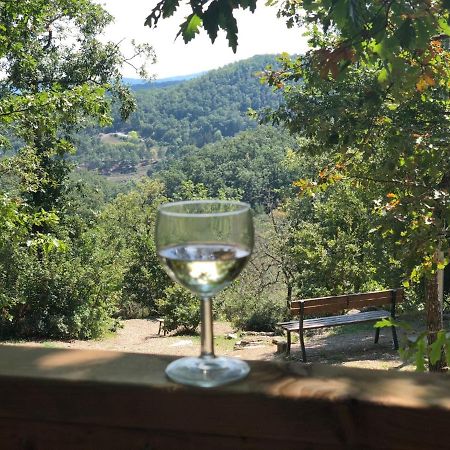 Safaritent Glamping Orlando In Chianti كافريجيليا المظهر الخارجي الصورة